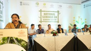 National Seminar on Bamboo Sector